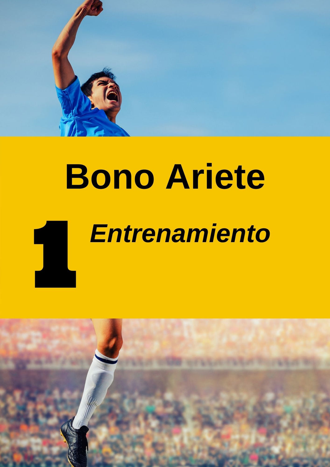 Bono Ariete | Análisis de debilidades y fortalezas | Informe detallado